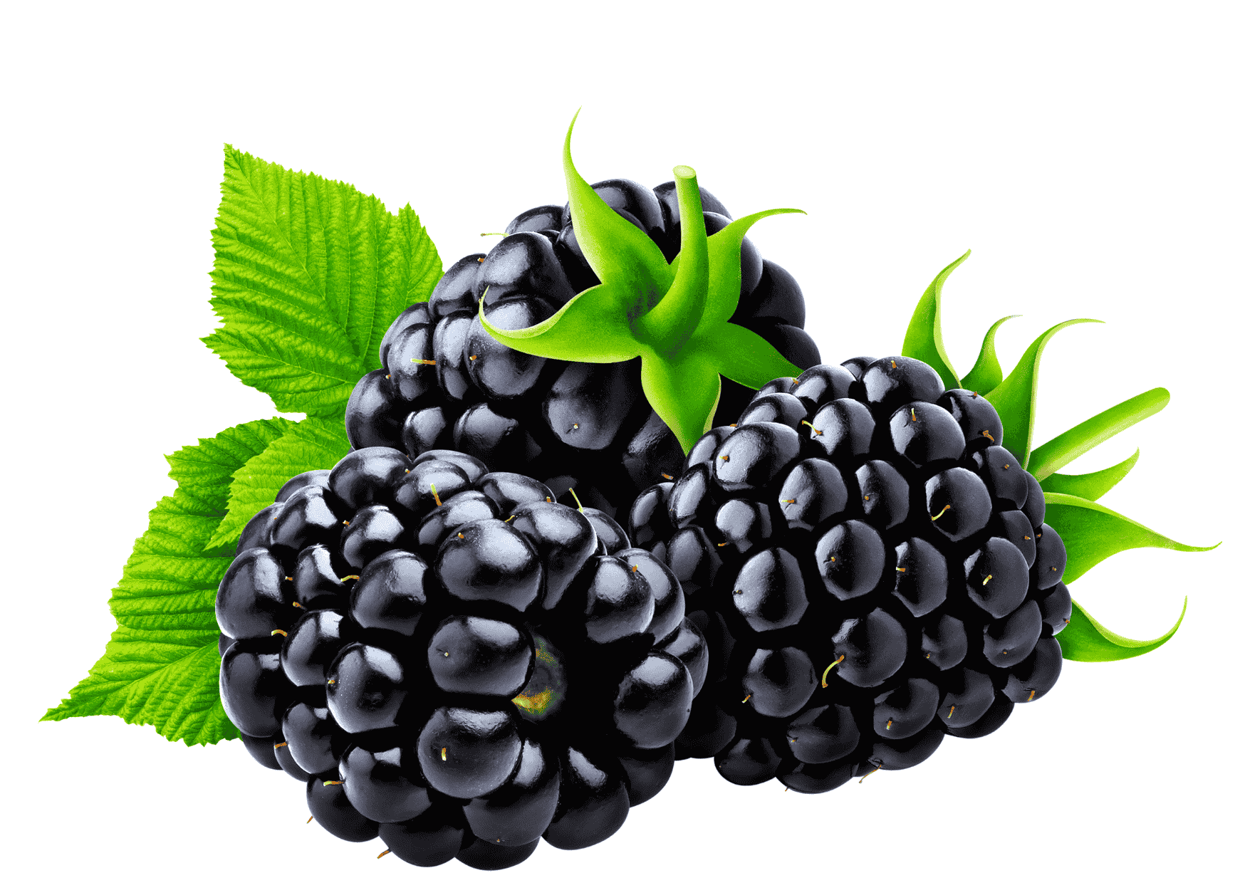 Hardline BCAA Matrix 630gr Böğürtlen