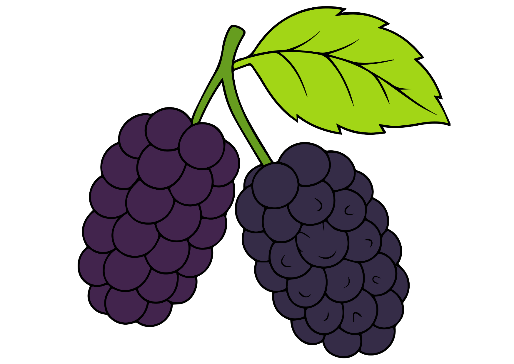 Hardline Nox 2 - 1090gr Karadut