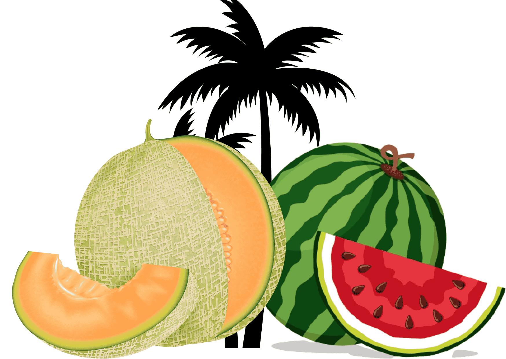 Z-Konzept Bcaa Powder 500gr Egzotik Kavun