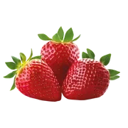 On The Go Recovery 70gr x 20 Saşe Çilek