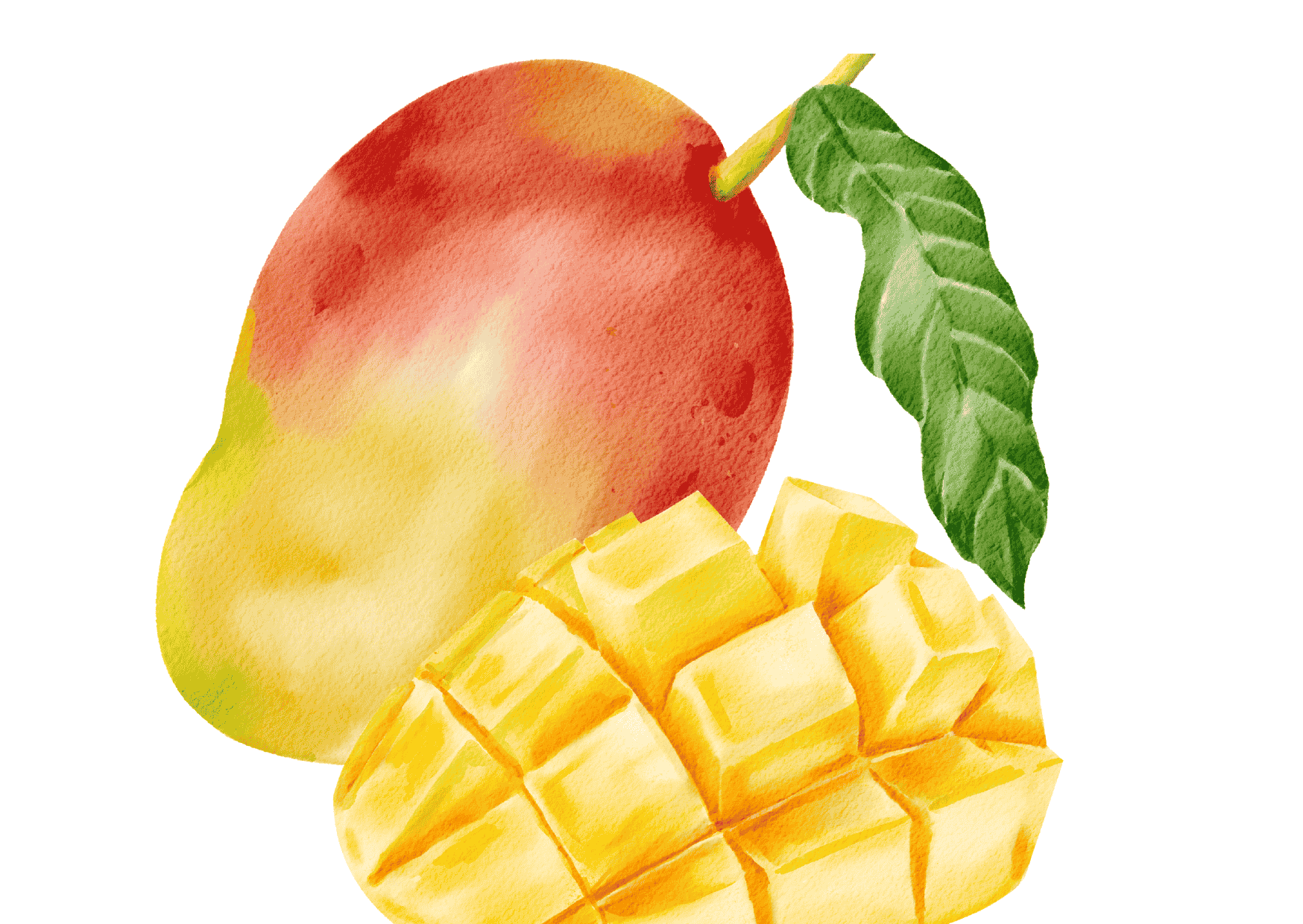 Xpro Noxzilla Pre-Workout 1080gr Mango