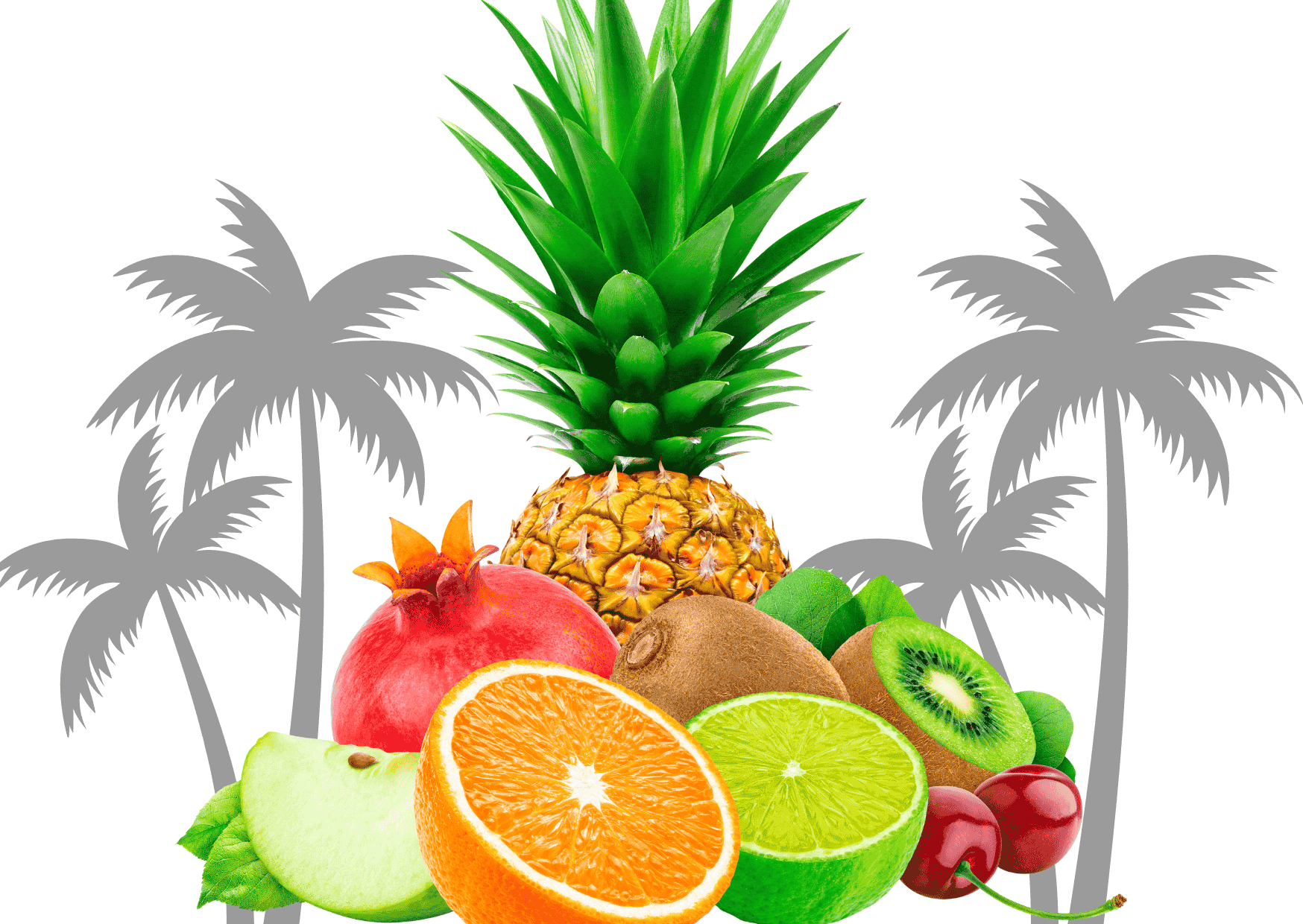 Hardline BCAA Matrix 630gr Tropikal Meyve