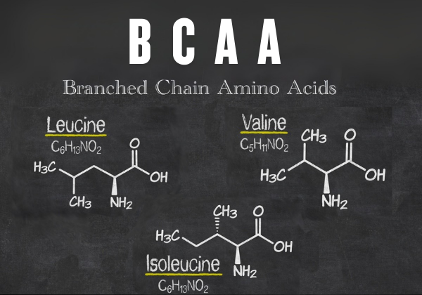 Fitness'da Bcaa Kullanımının Önemi