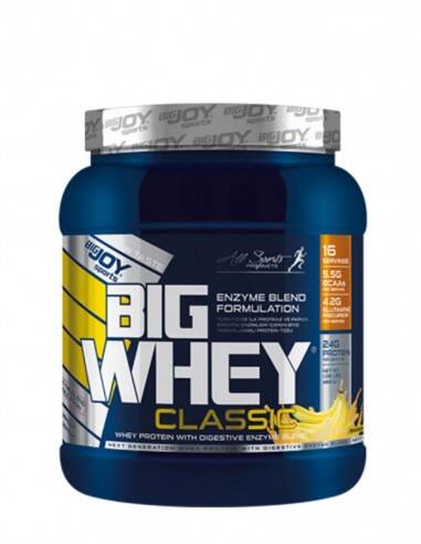 BigJoy Big Whey Classic 514gr - 2