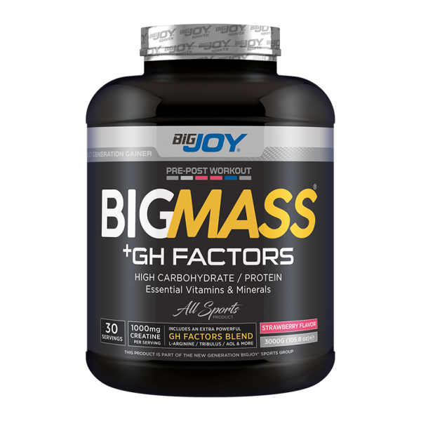 Bigjoy BigMass GH Factors Karbonhidrat Tozu 3000gr - 2