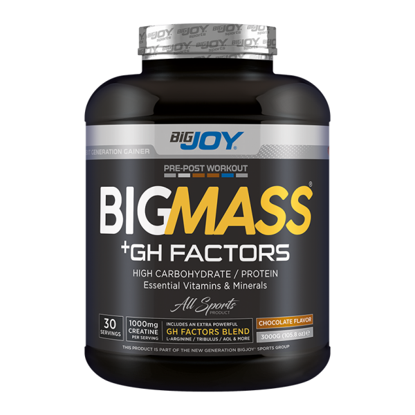 Bigjoy BigMass GH Factors Karbonhidrat Tozu 3000gr - 1