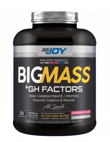 Bigjoy BigMass GH Factors Karbonhidrat Tozu 3000gr - 2