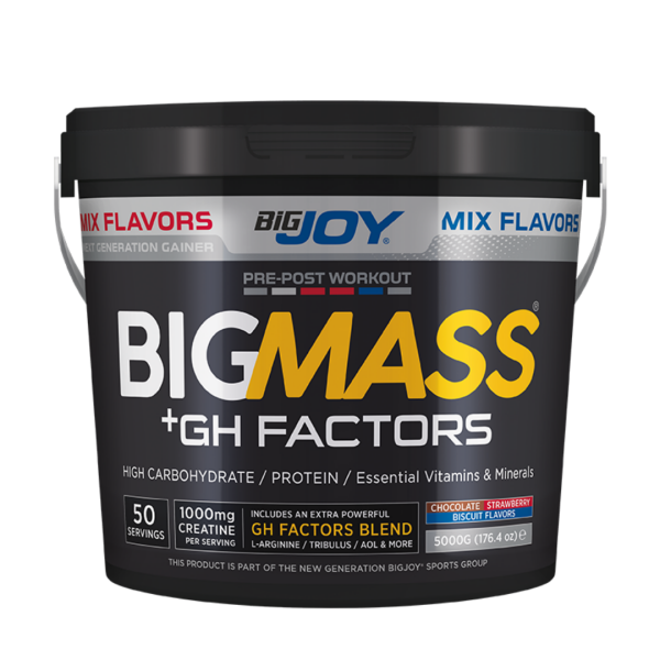 Bigjoy BigMass GH Factors Karbonhidrat Tozu 5000gr - 2