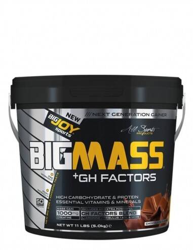 Bigjoy BigMass GH Factors Karbonhidrat Tozu 5000gr - 1