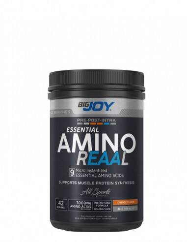 Bigjoy Essential Amino Reaal 420gr - 1