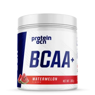Proteinocean BCAA+ 300gr - Proteinocean (1)